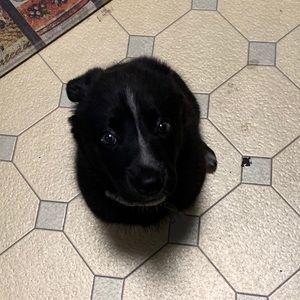 Meet your Posher, Danny